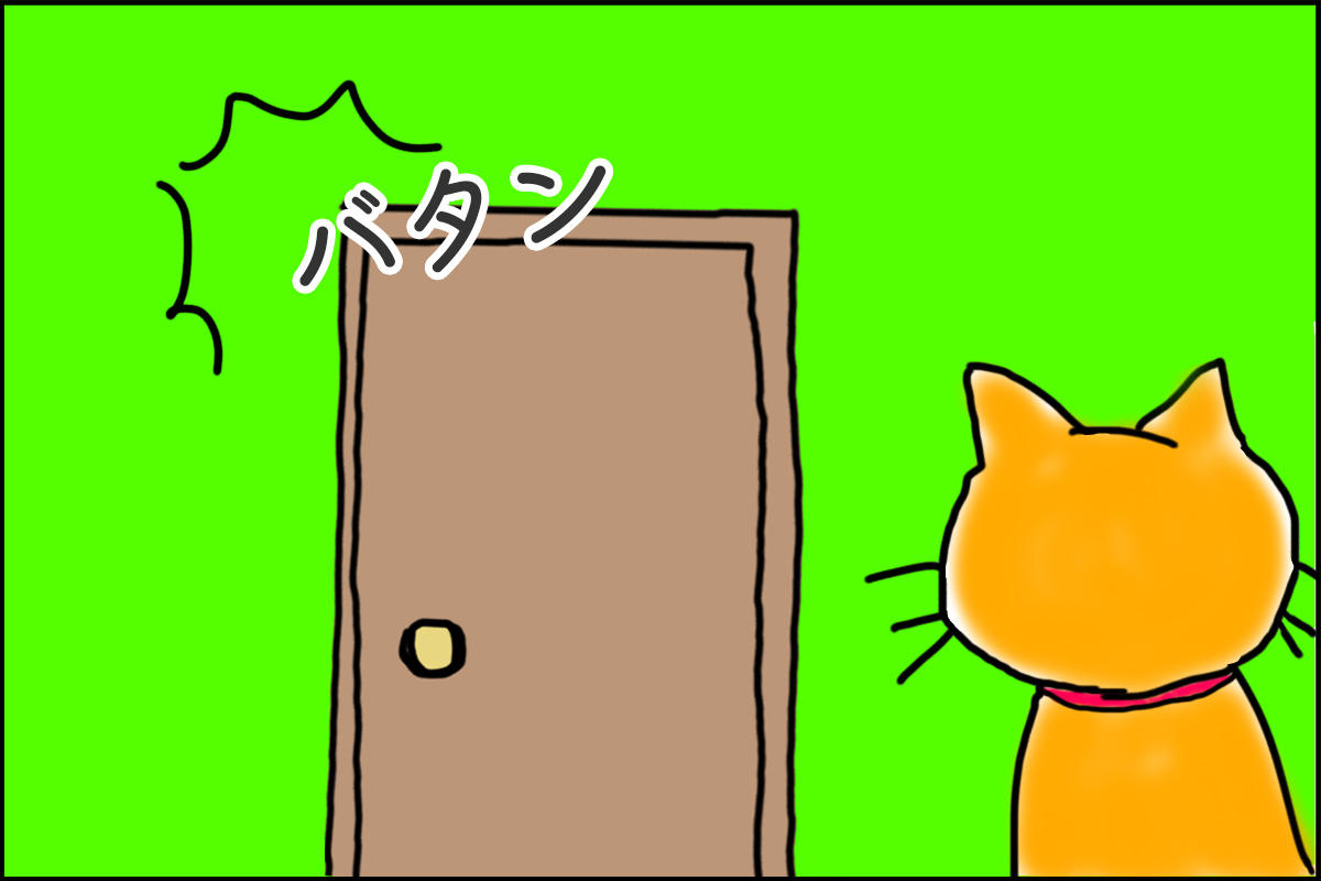 第5回