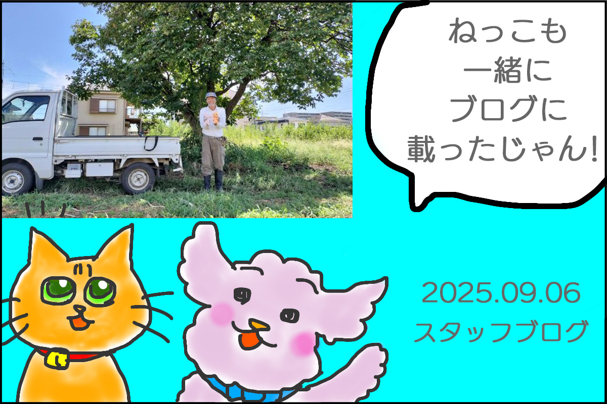 第6回
