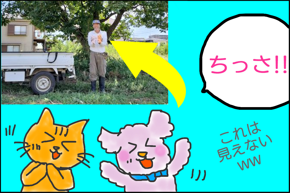 第6回